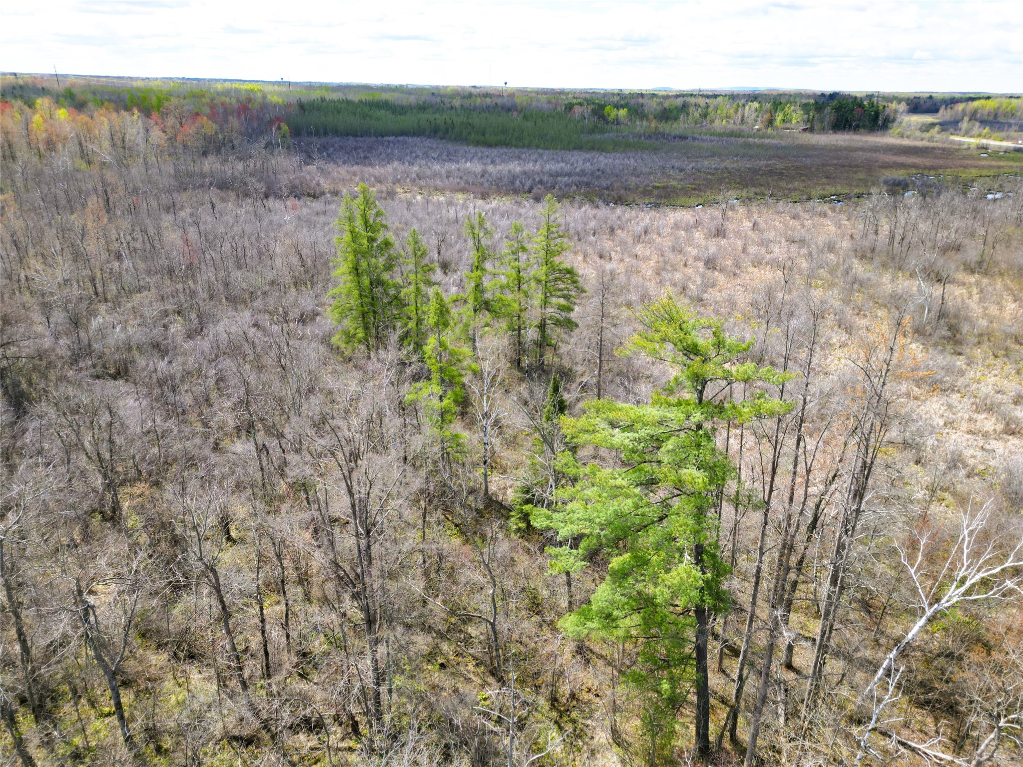 36.5 Acres E Cedarbrook Road Ladysmith WI 54848 1601172 image12