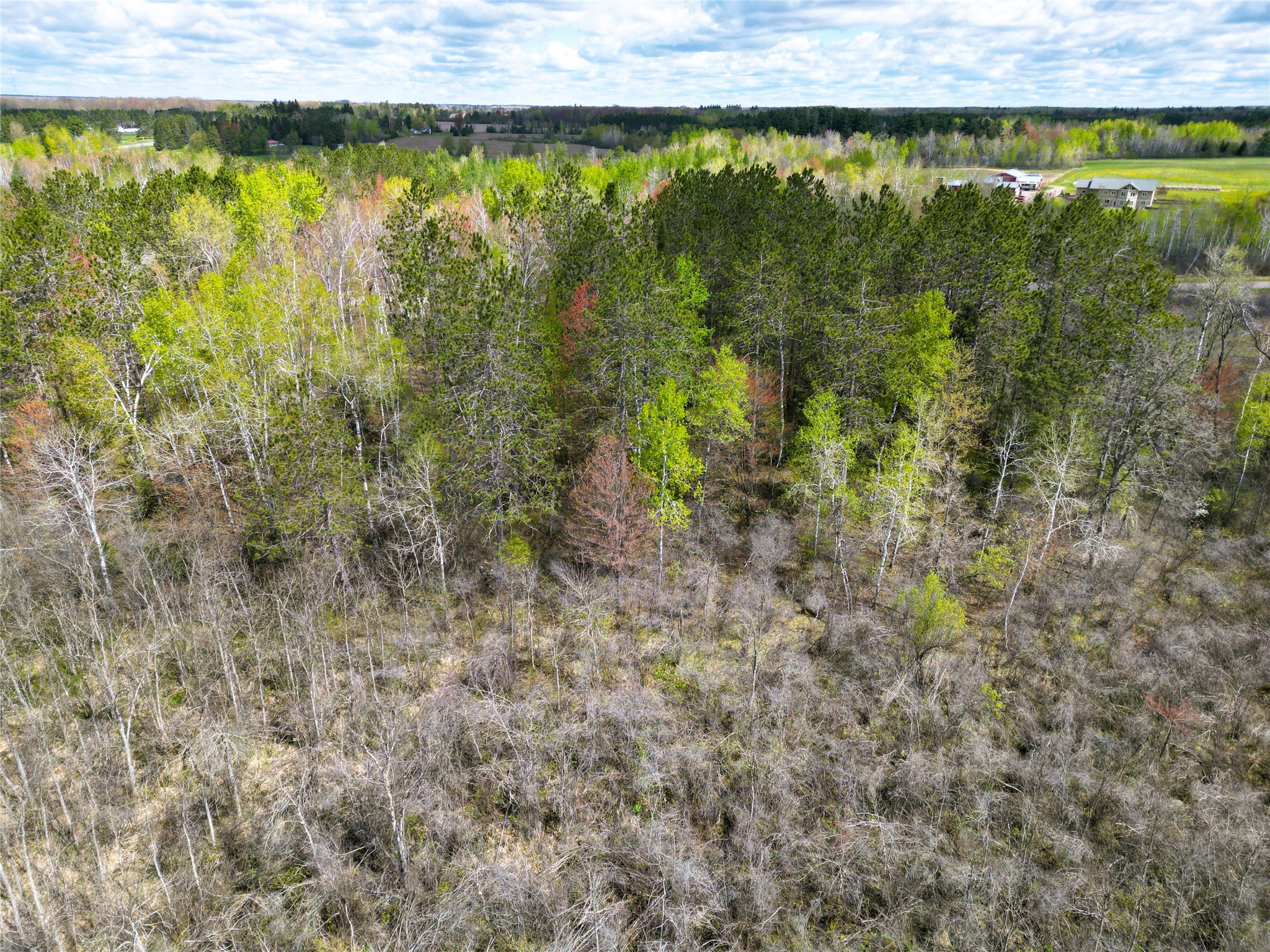 36.5 Acres E Cedarbrook Road Ladysmith WI 54848 1601172 image13