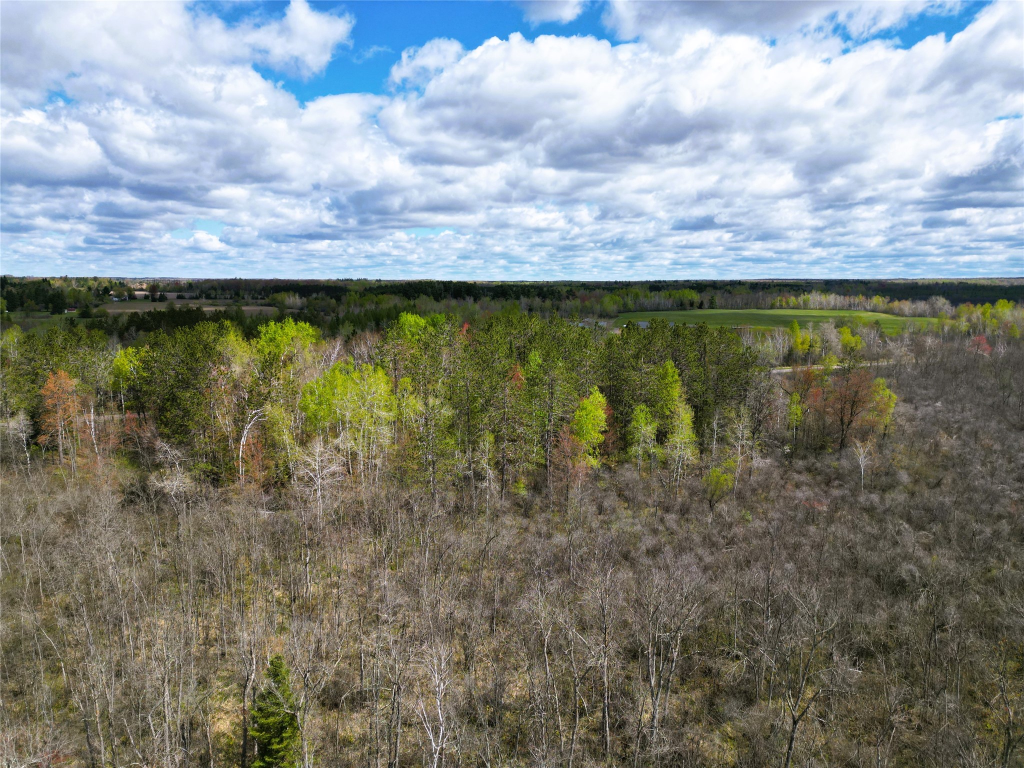 36.5 Acres E Cedarbrook Road Ladysmith WI 54848 1601172 image14