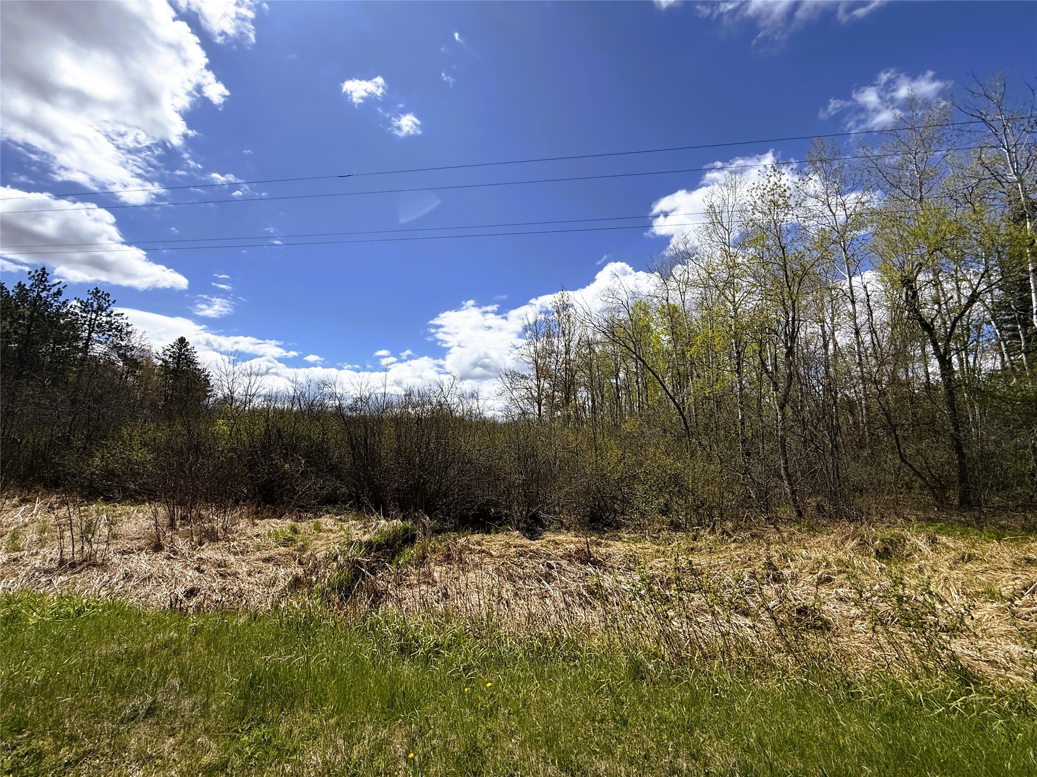 36.5 Acres E Cedarbrook Road Ladysmith WI 54848 1601172 image15