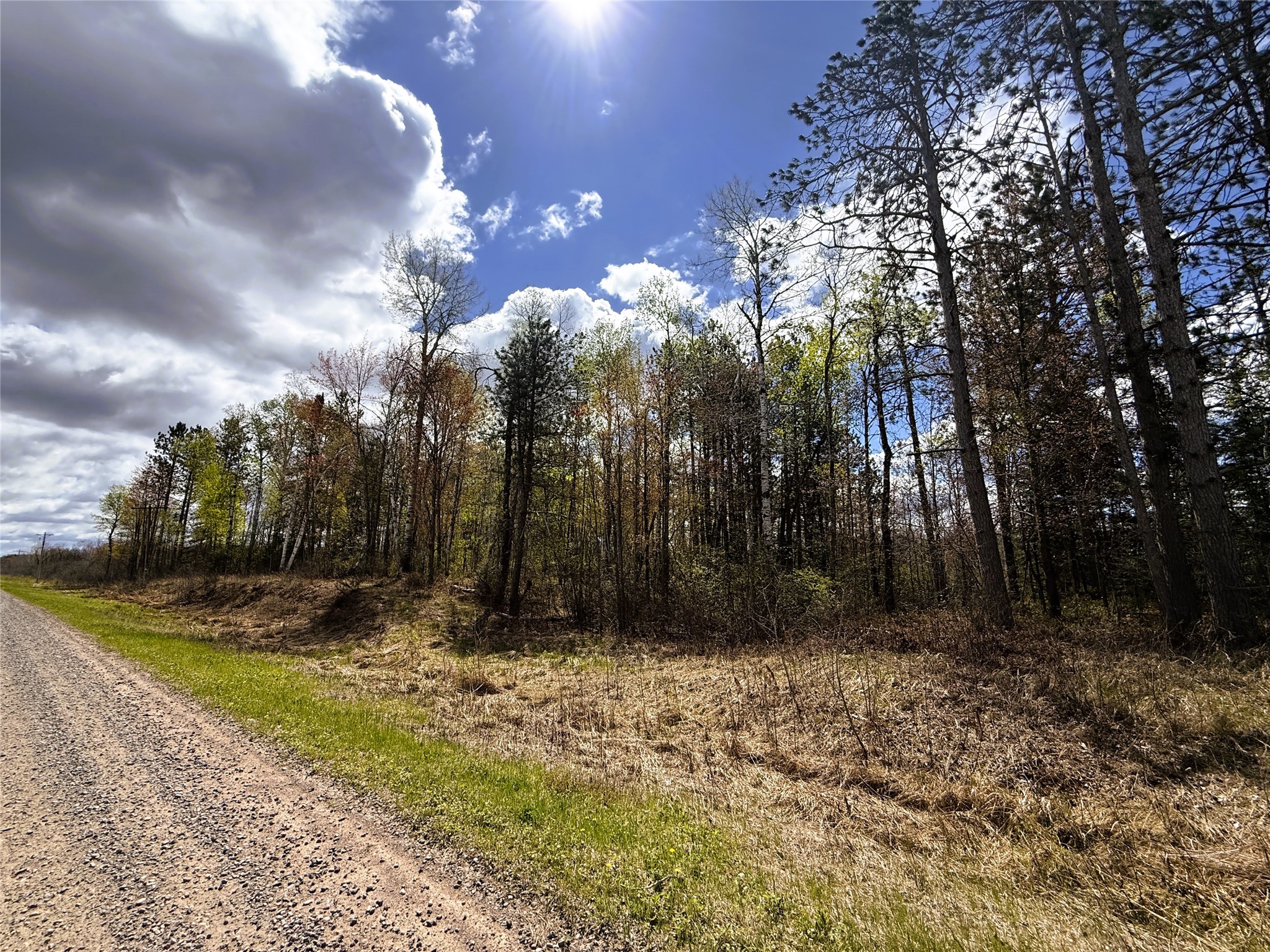 36.5 Acres E Cedarbrook Road Ladysmith WI 54848 1601172 image16