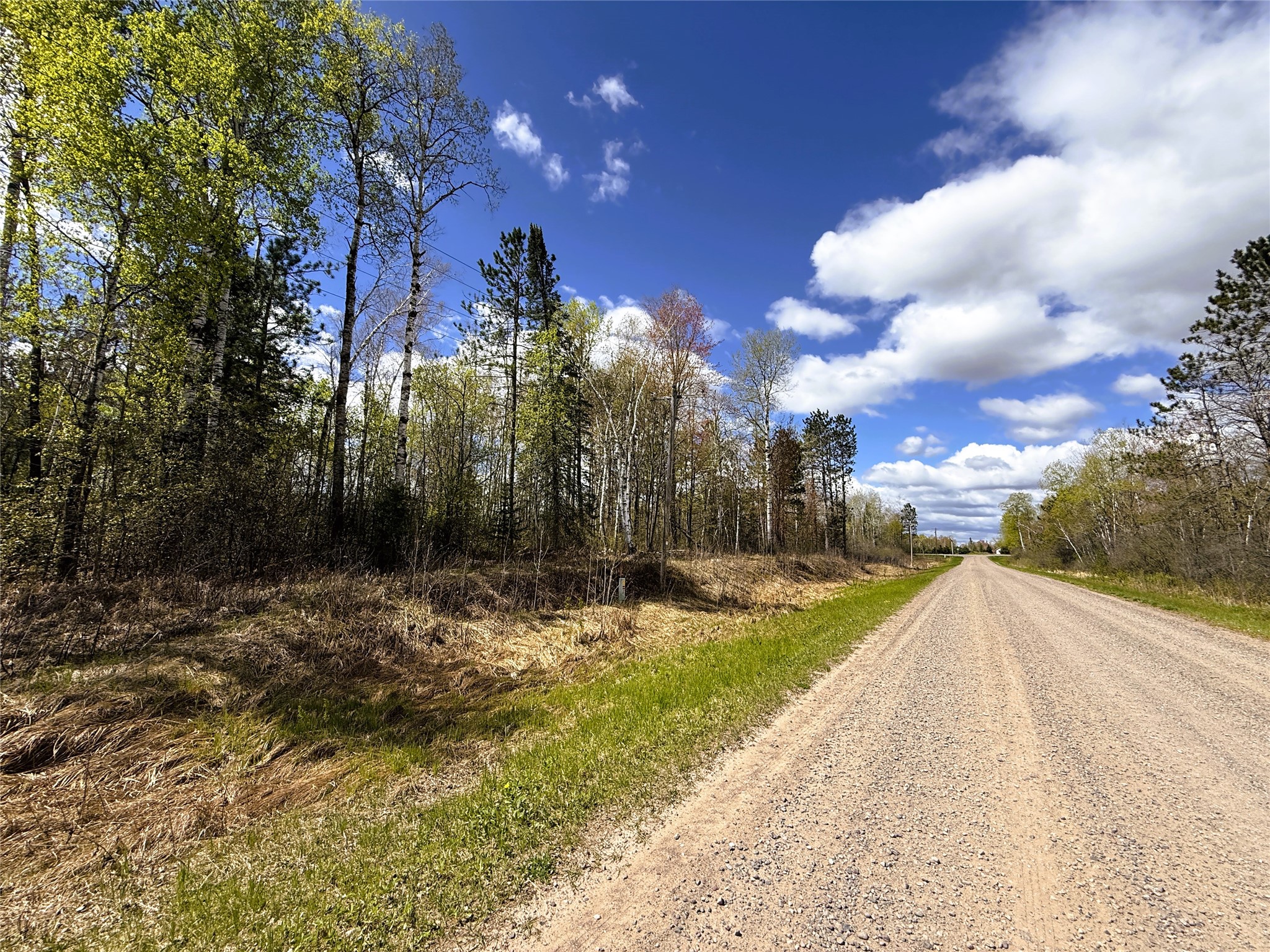 36.5 Acres E Cedarbrook Road Ladysmith WI 54848 1601172 image17