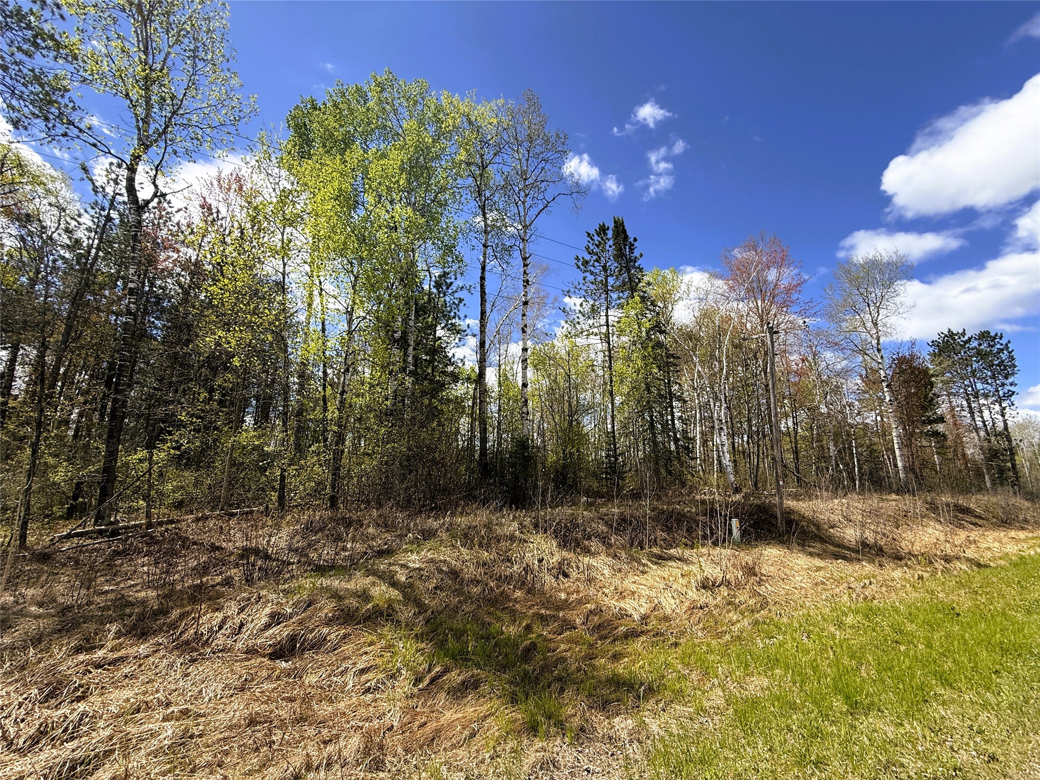 36.5 Acres E Cedarbrook Road Ladysmith WI 54848 1601172 image18