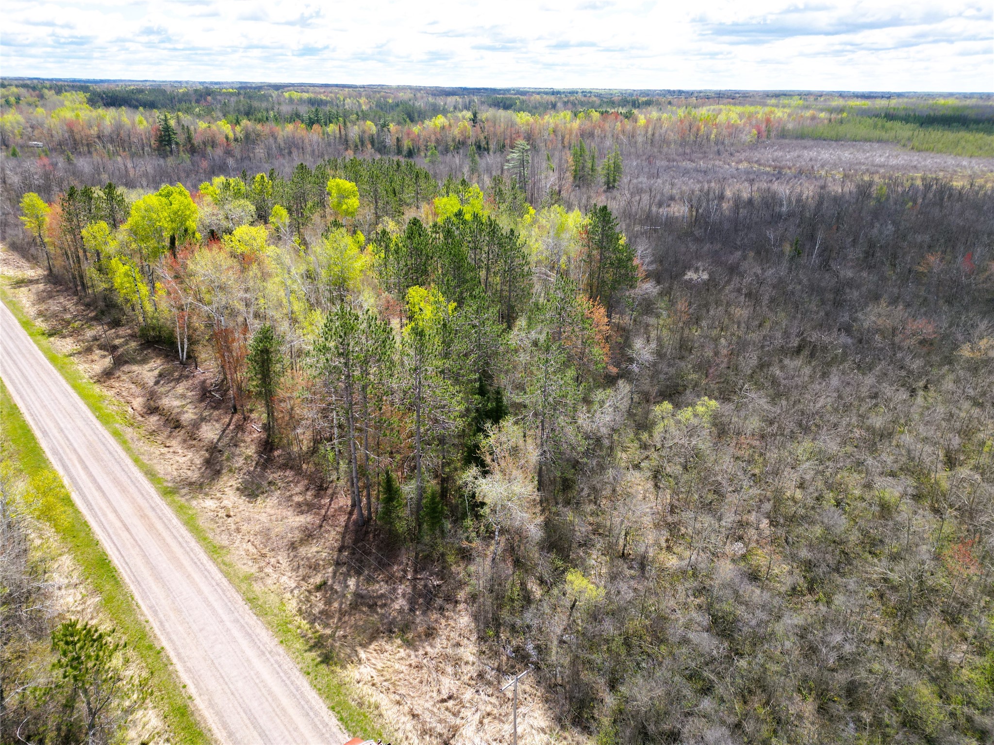 36.5 Acres E Cedarbrook Road Ladysmith WI 54848 1601172 image2