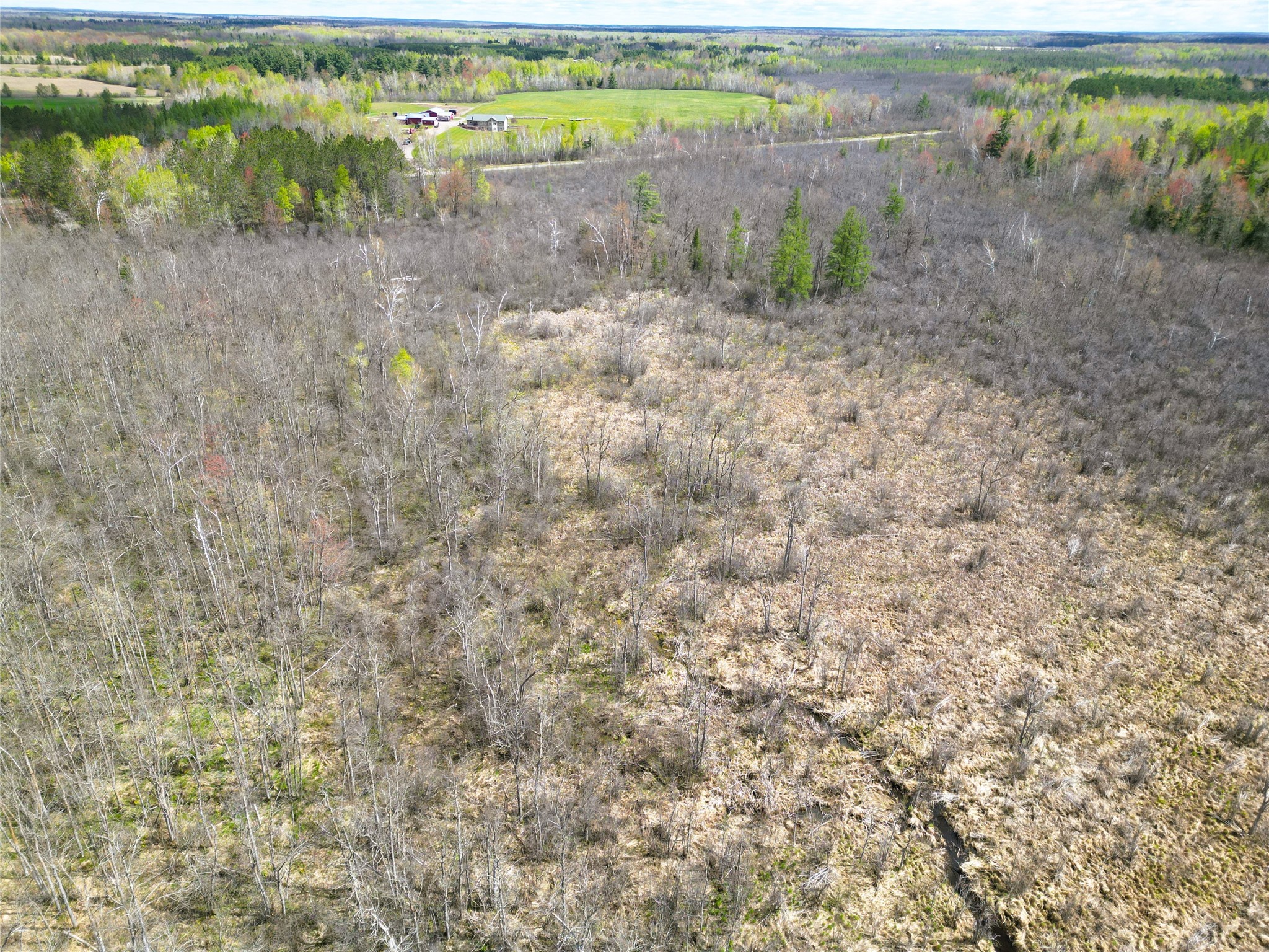 36.5 Acres E Cedarbrook Road Ladysmith WI 54848 1601172 image3