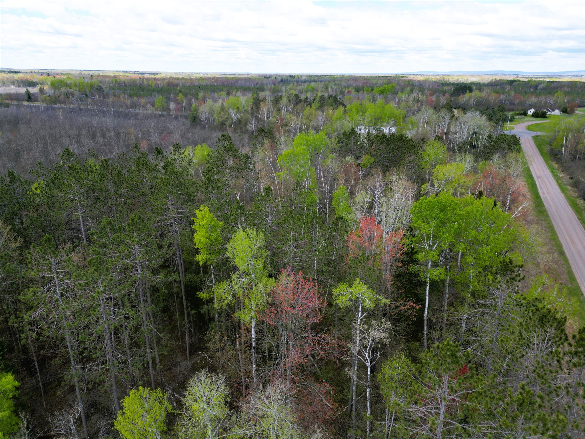 36.5 Acres E Cedarbrook Road Ladysmith WI 54848 1601172 image7