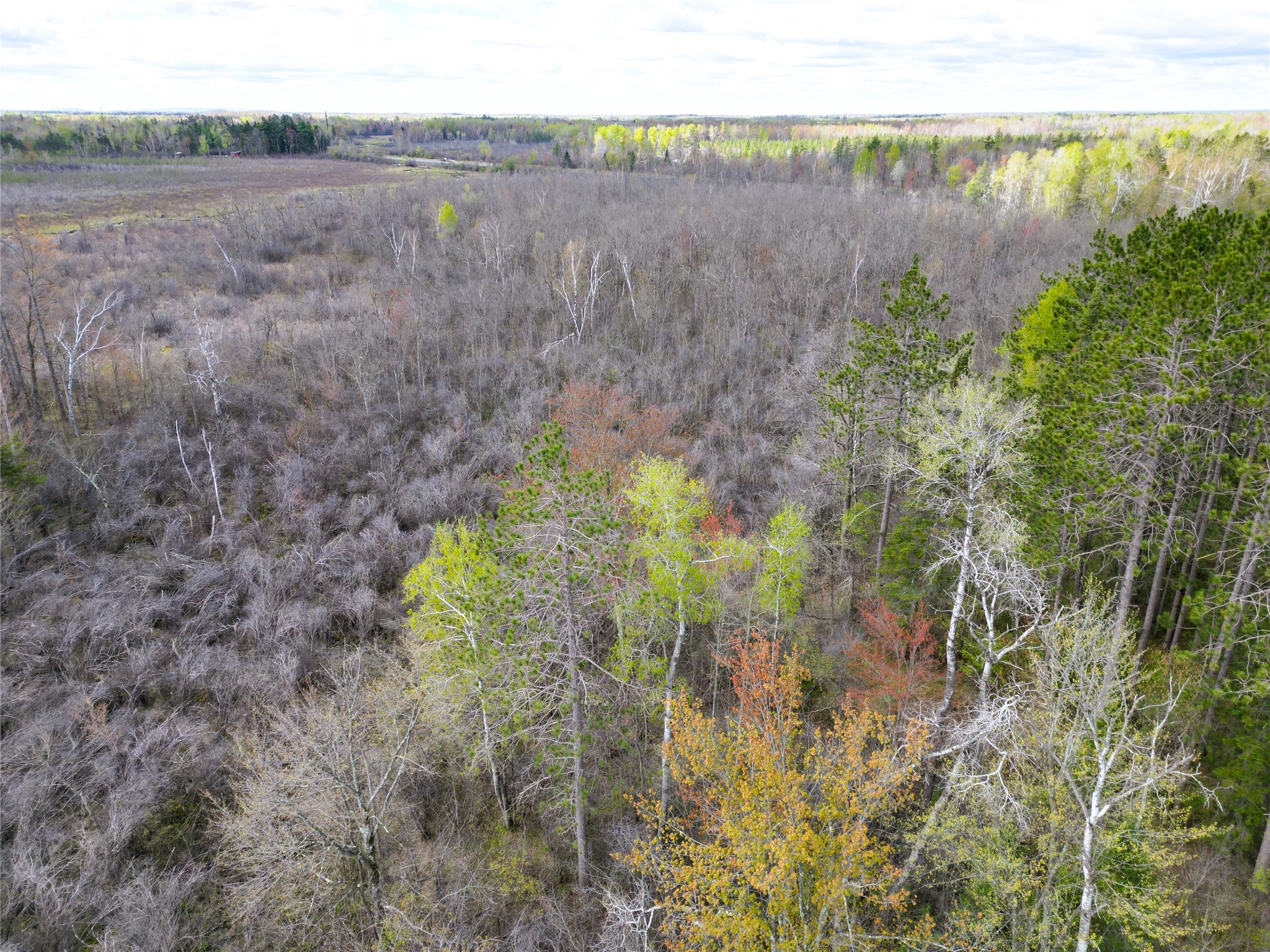 36.5 Acres E Cedarbrook Road Ladysmith WI 54848 1601172 image8