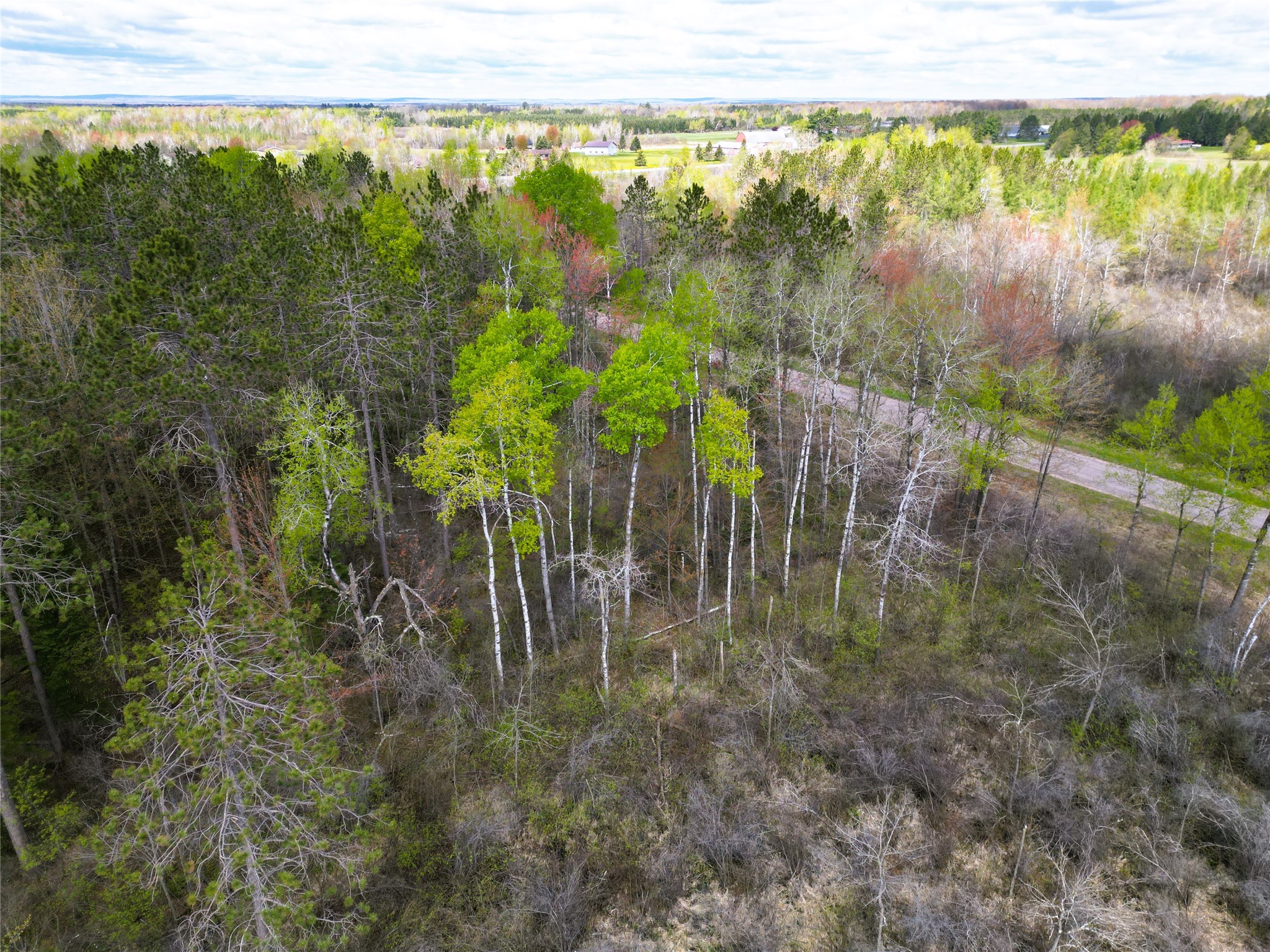 36.5 Acres E Cedarbrook Road Ladysmith WI 54848 1601172 image9