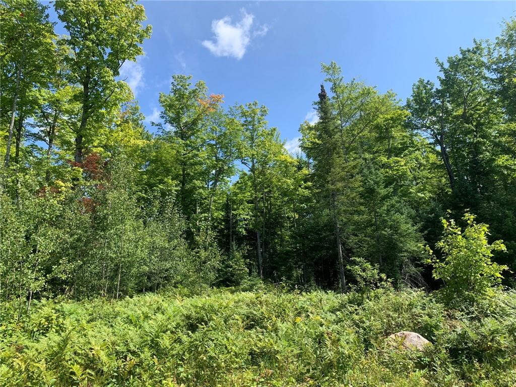 36+/- Acres On Dynamite Road Fifield WI 54524 1585125 image1