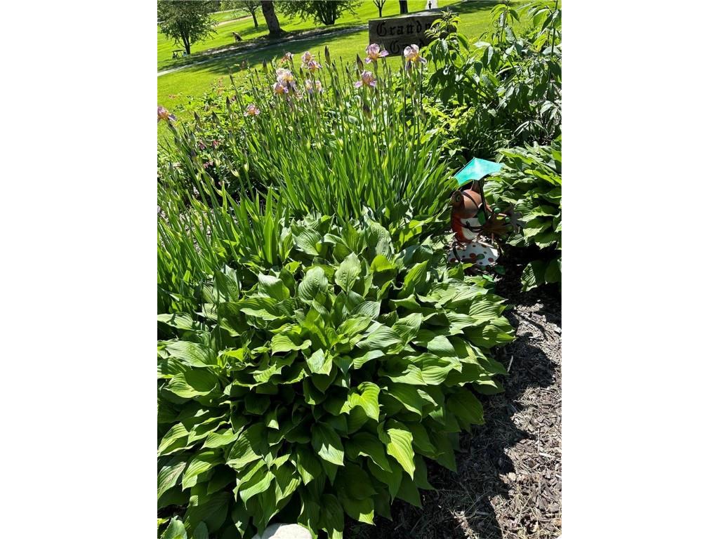 360 N 12th Street Black River Falls WI 54615 1596481 image16