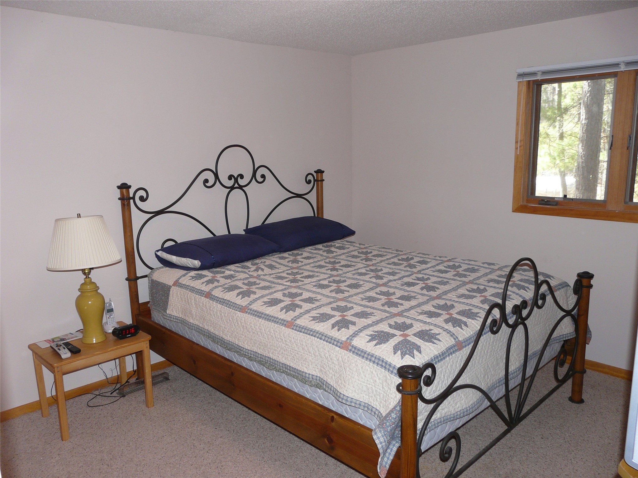 3668 Meyers Road Danbury WI 54830 - Loon 1600782 image11
