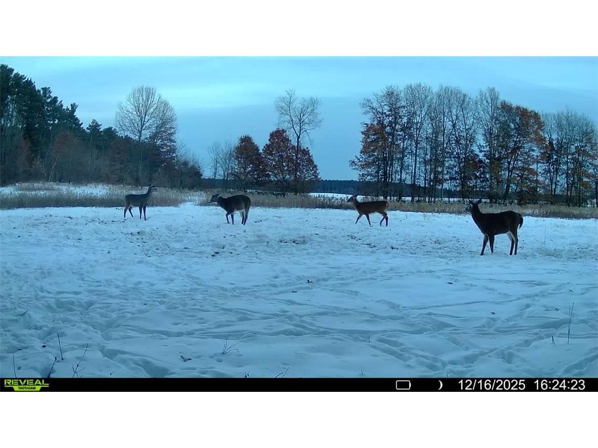 3675 S County Rd K Fall Creek WI 54742 1598781 image31
