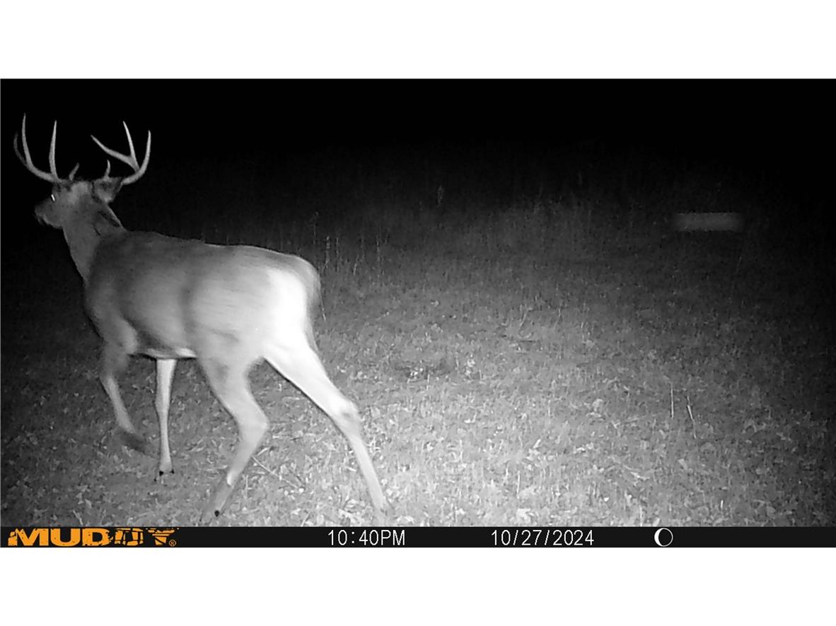 3675 S County Rd K Fall Creek WI 54742 1598781 image33