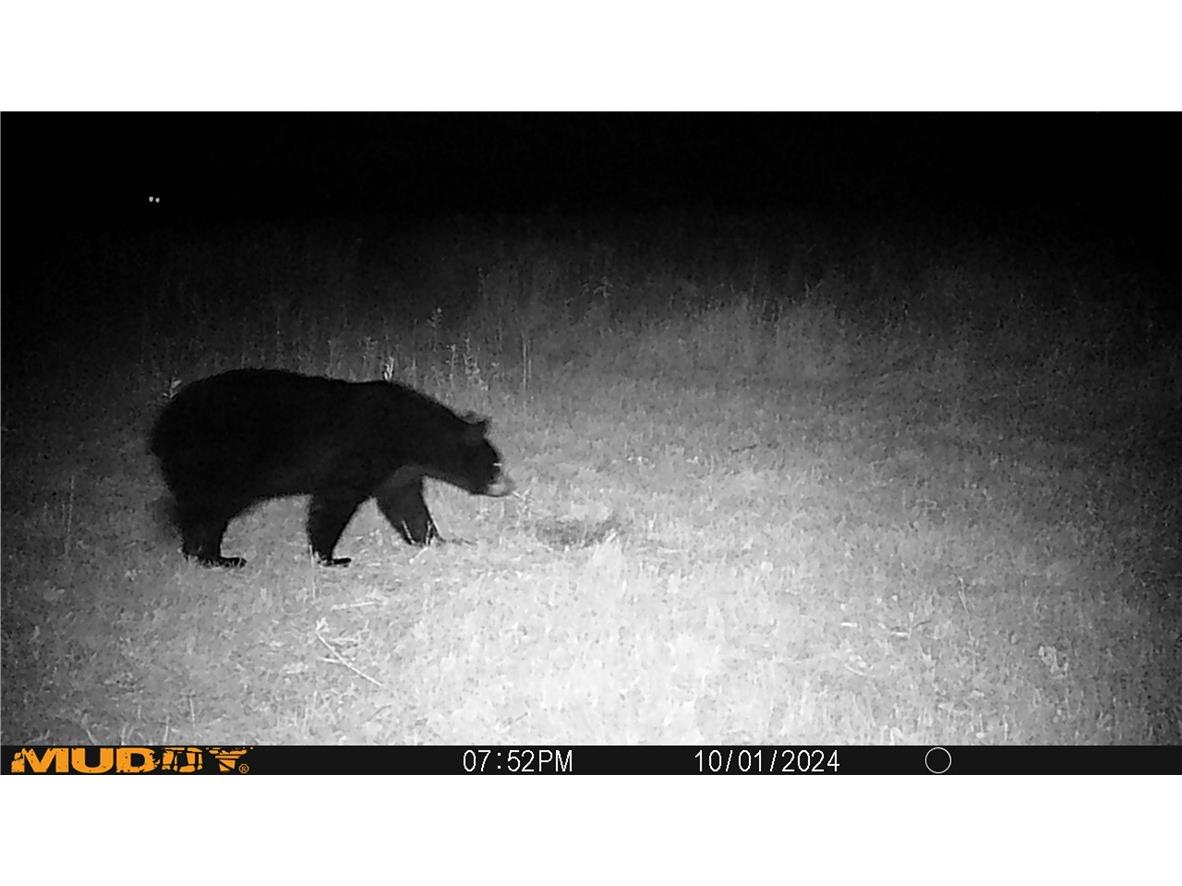 3675 S County Rd K Fall Creek WI 54742 1598781 image34