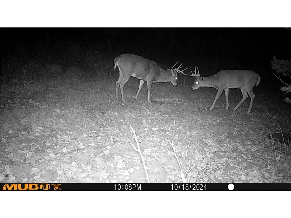 3675 S County Rd K Fall Creek WI 54742 1598781 image37