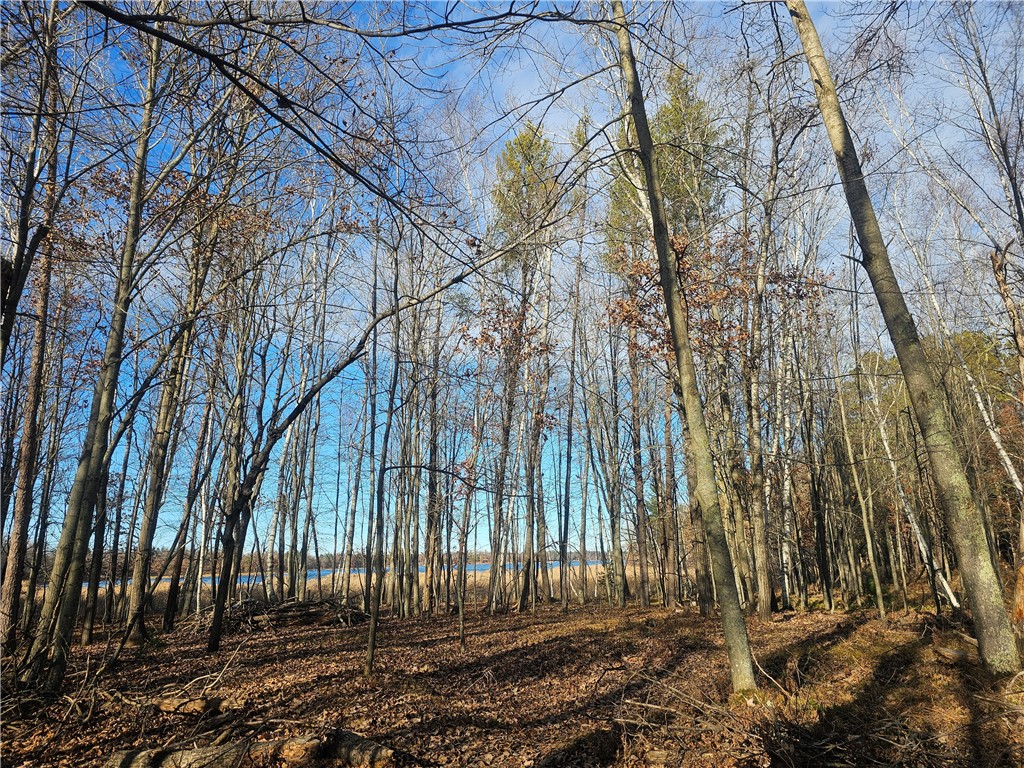 3715 Deer Lodge Drive Danbury WI 54830 1597208 image10