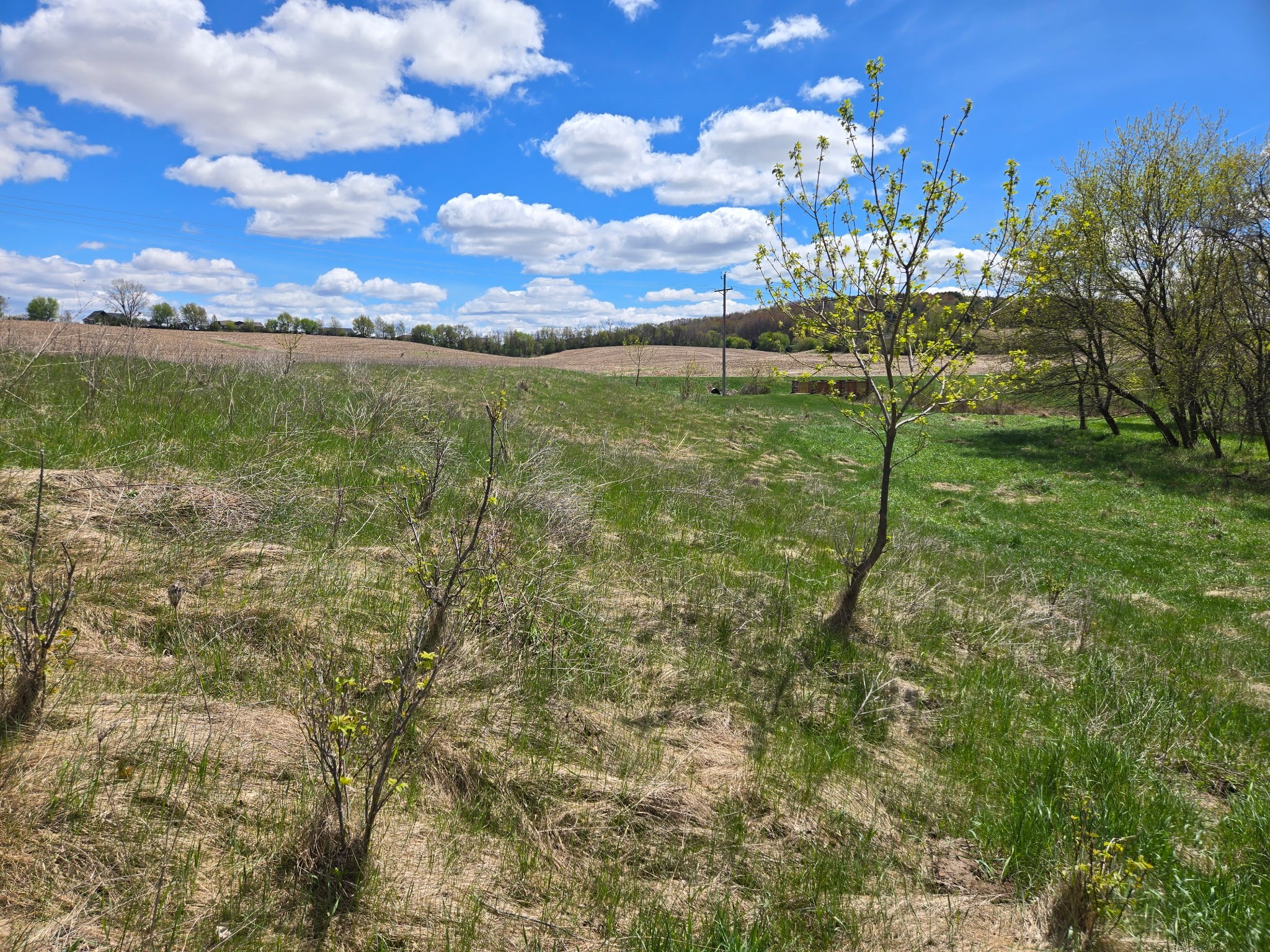 3737 Nicholas Drive Menomonie WI 54751 1600721 image4