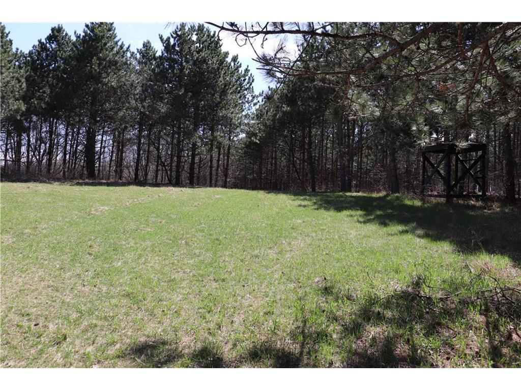 38.98 Acres Ryder Road Osseo WI 54758 1581190 image1