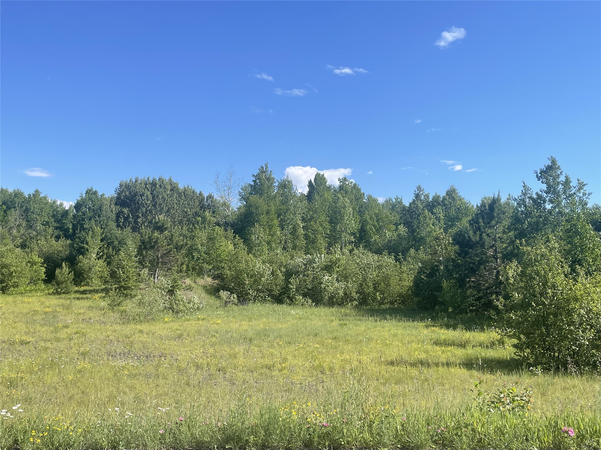 39+/- A On County Highway E Iron Belt WI 54536 1602959 image1