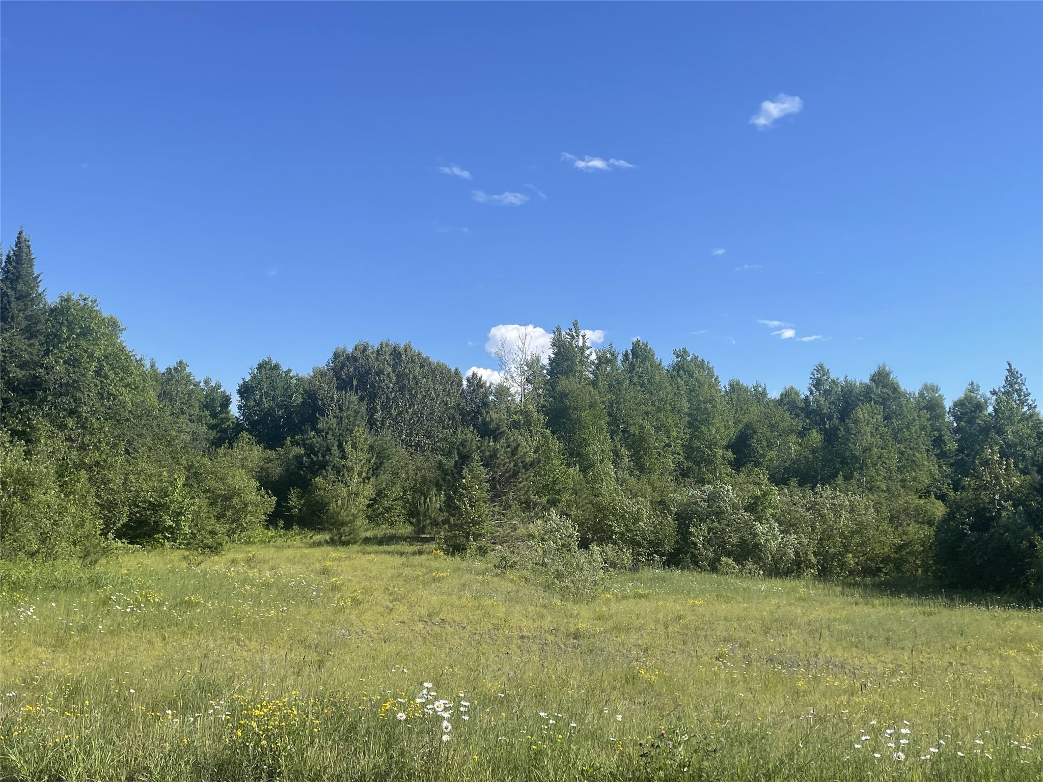 39+/- A On County Highway E Iron Belt WI 54536 1602959 image10