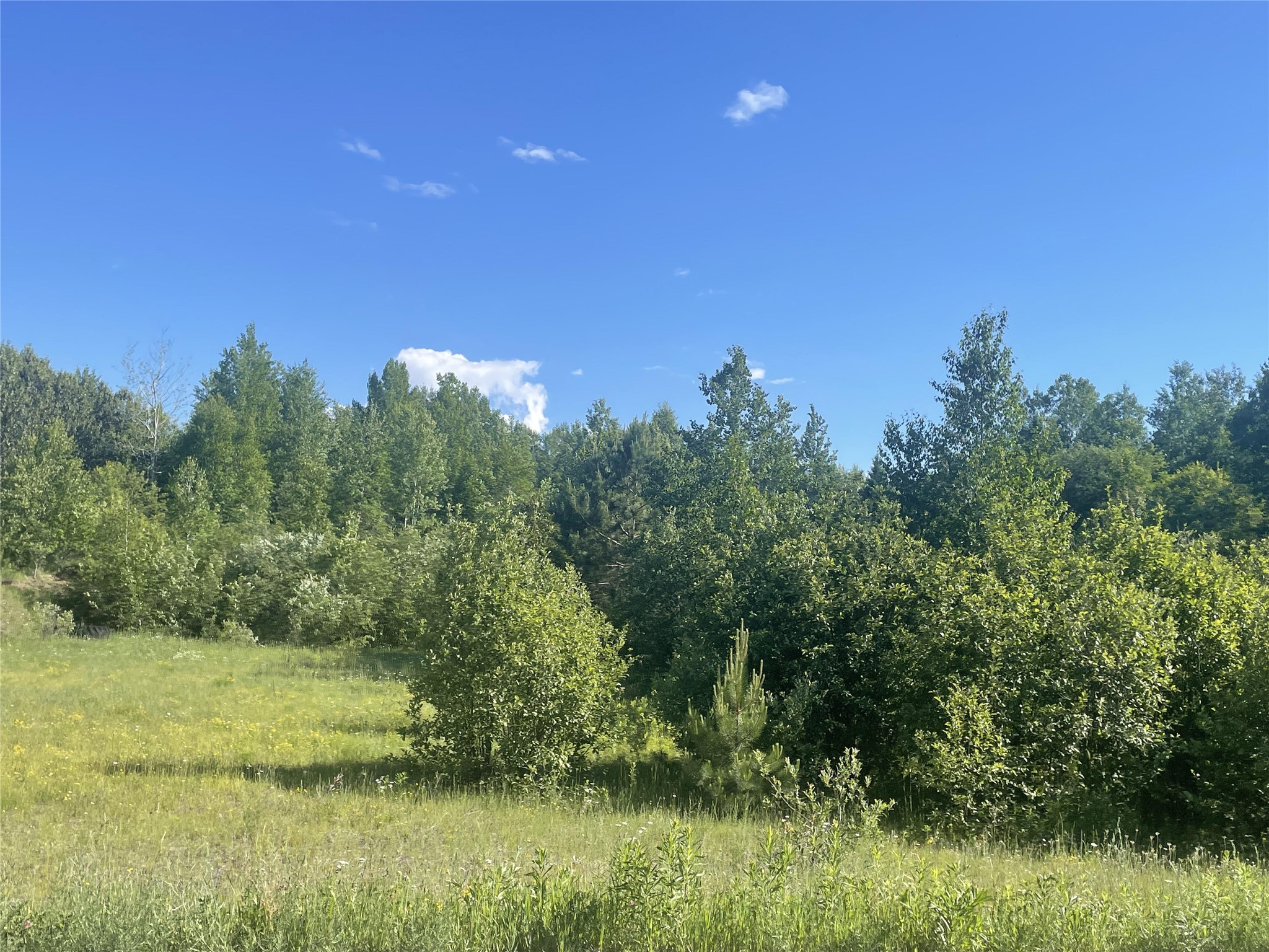 39+/- A On County Highway E Iron Belt WI 54536 1602959 image11