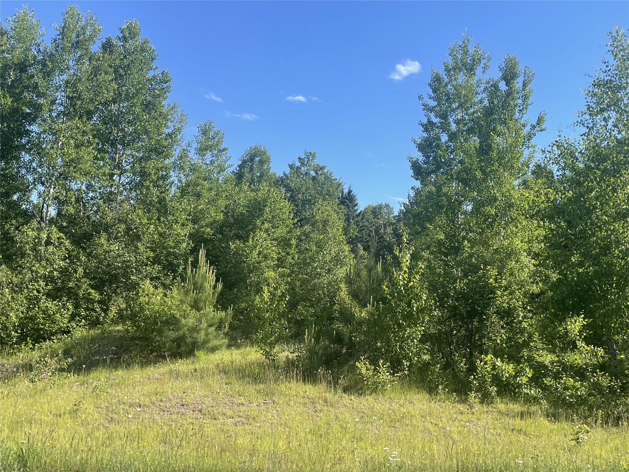 39+/- A On County Highway E Iron Belt WI 54536 1602959 image12