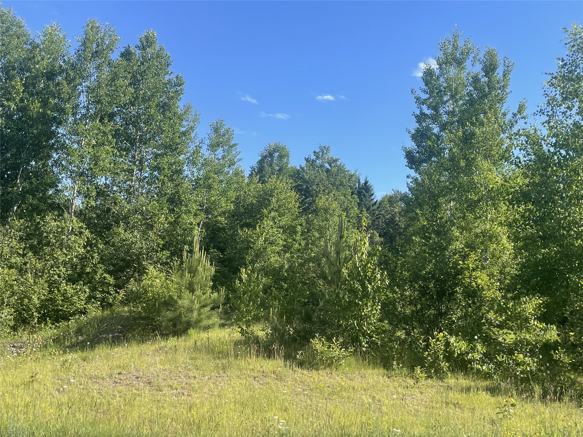 39+/- A On County Highway E Iron Belt WI 54536 1602959 image13