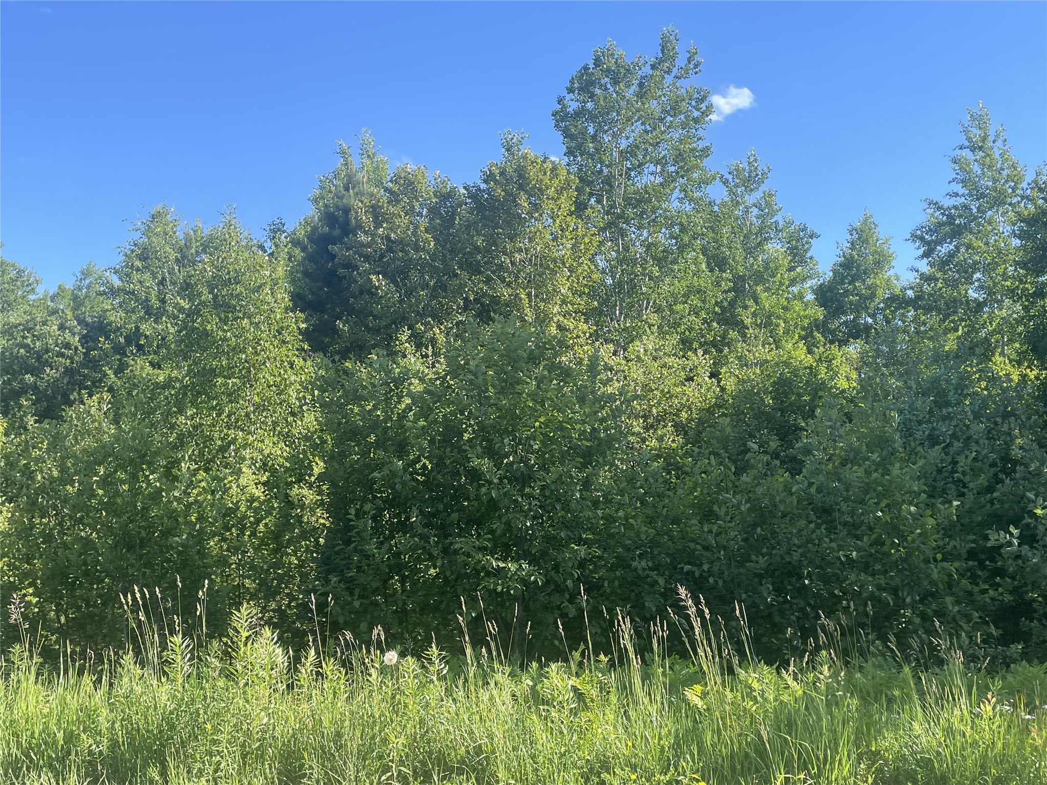 39+/- A On County Highway E Iron Belt WI 54536 1602959 image14