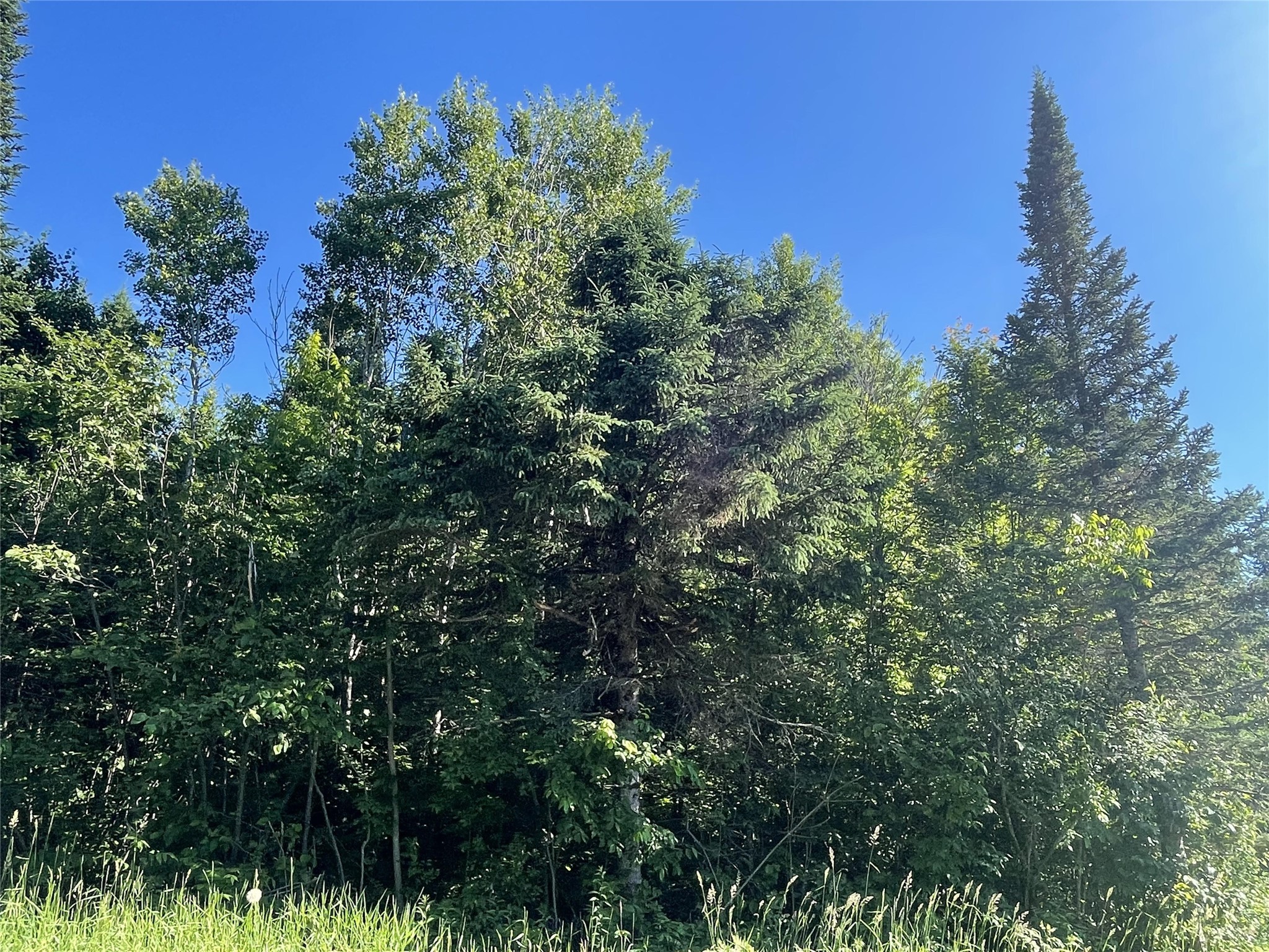 39+/- A On County Highway E Iron Belt WI 54536 1602959 image15