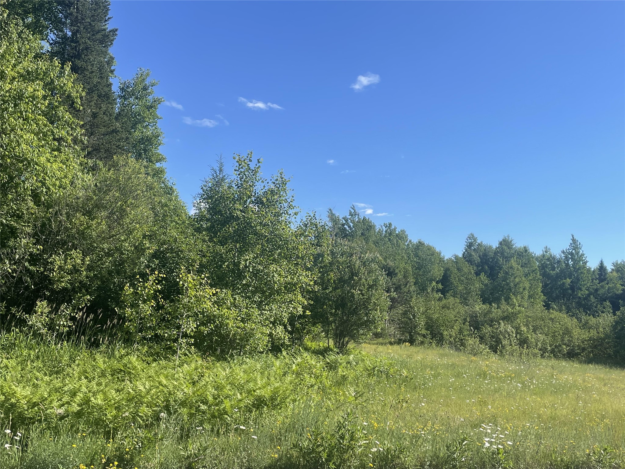 39+/- A On County Highway E Iron Belt WI 54536 1602959 image3