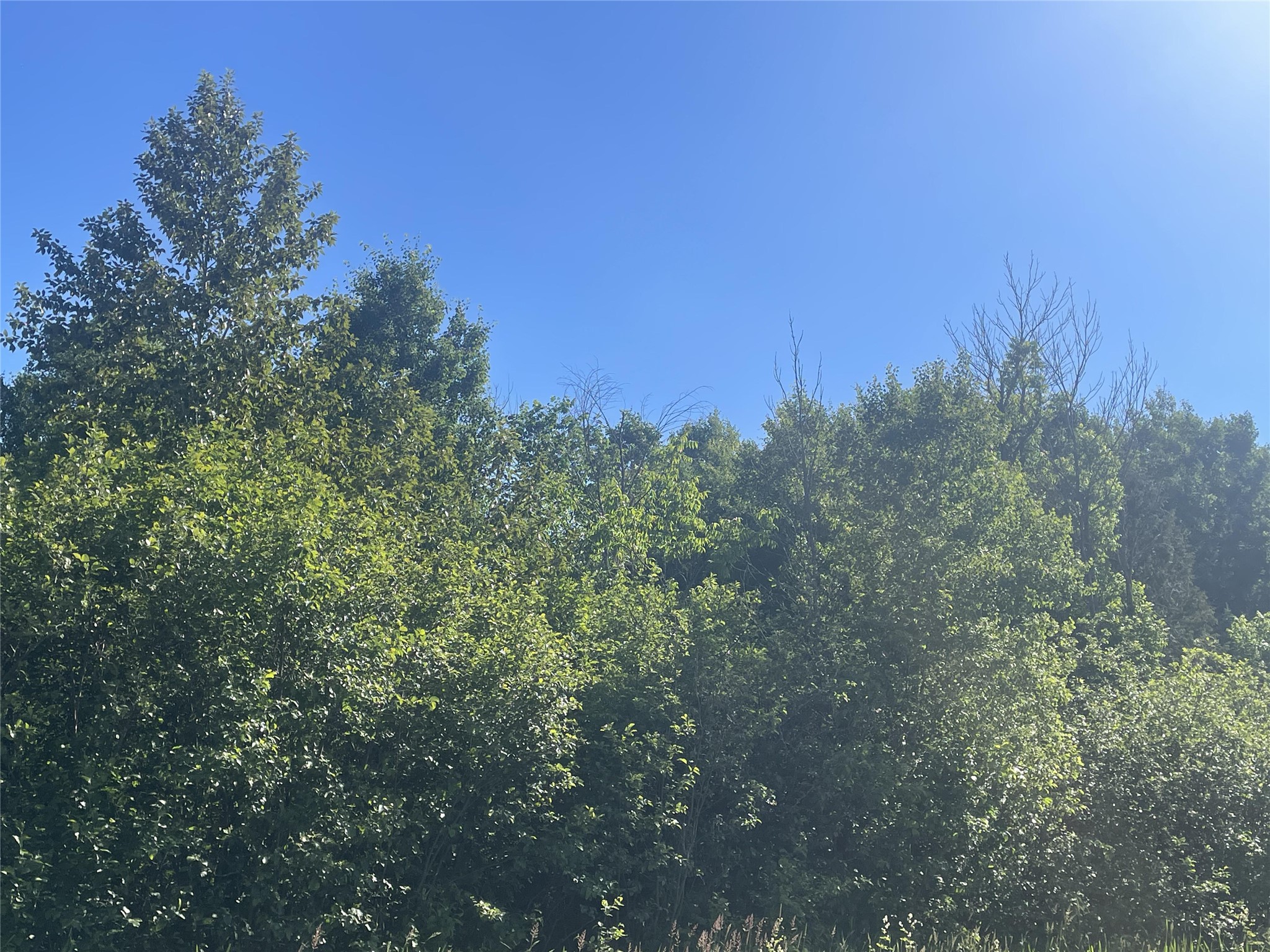 39+/- A On County Highway E Iron Belt WI 54536 1602959 image4