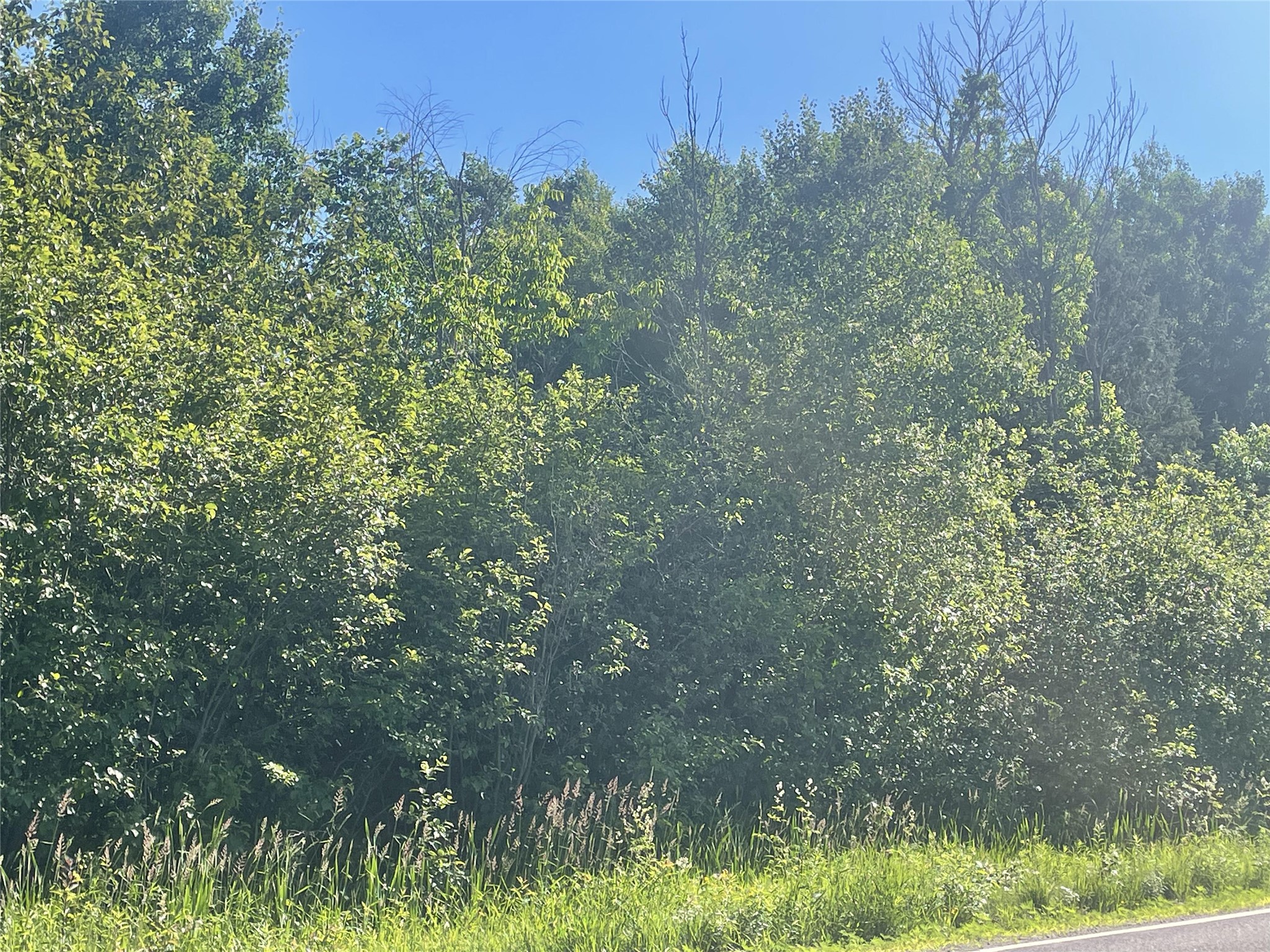 39+/- A On County Highway E Iron Belt WI 54536 1602959 image5