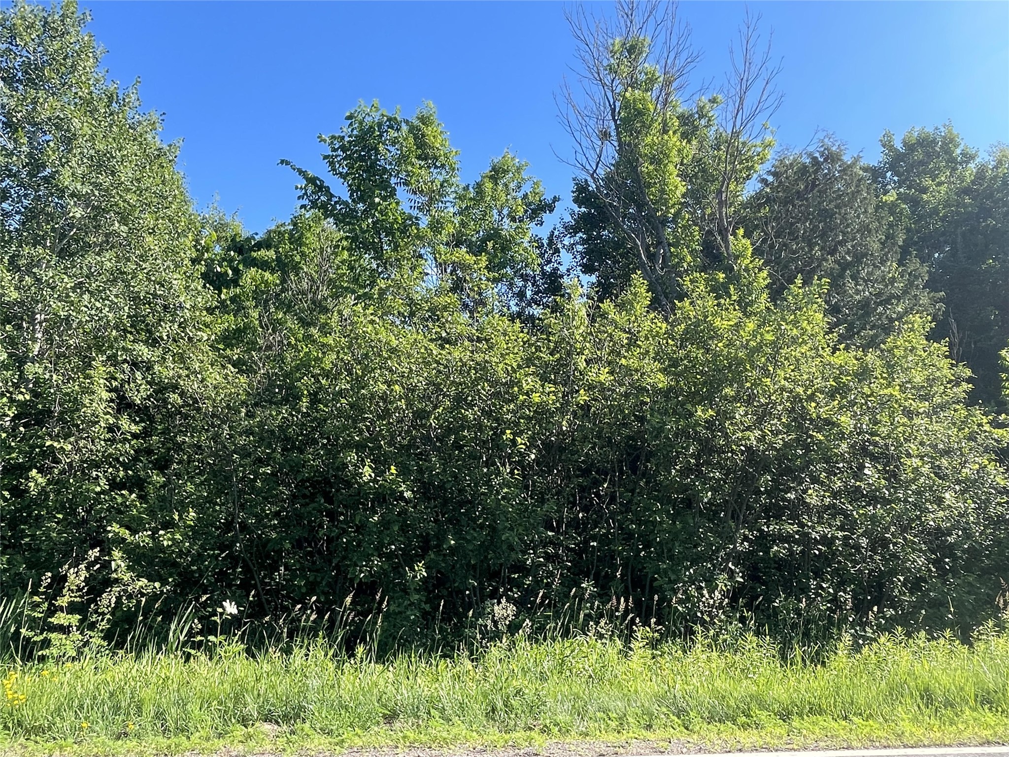 39+/- A On County Highway E Iron Belt WI 54536 1602959 image6