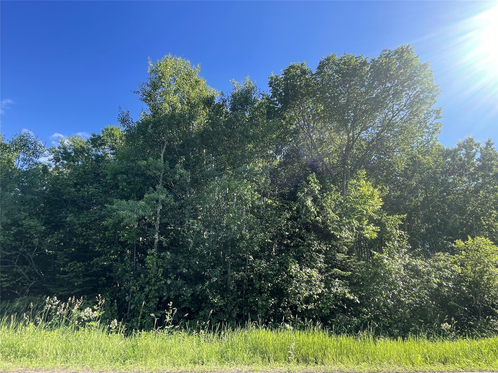 39+/- A On County Highway E Iron Belt WI 54536 1602959 image7