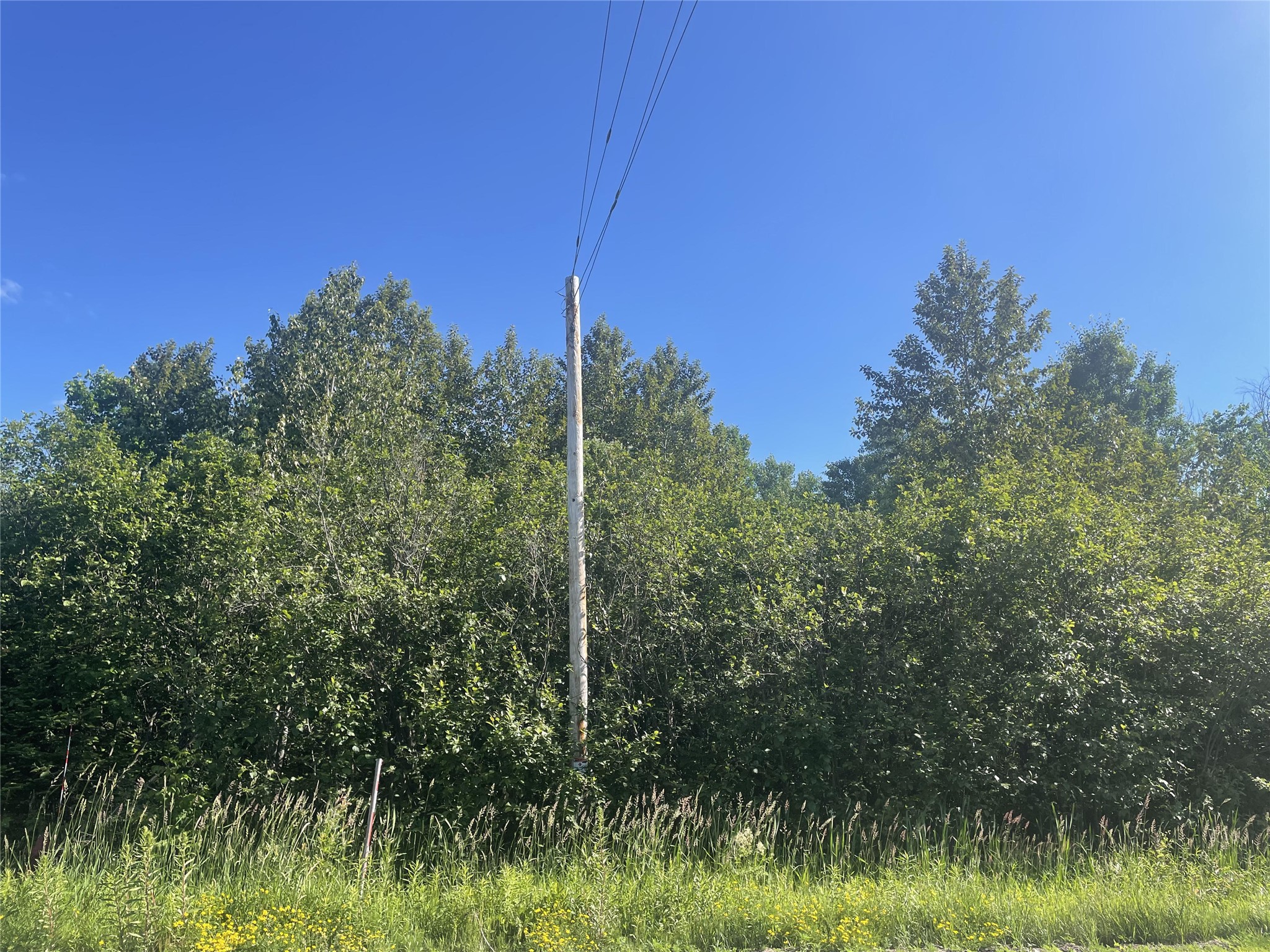 39+/- A On County Highway E Iron Belt WI 54536 1602959 image8