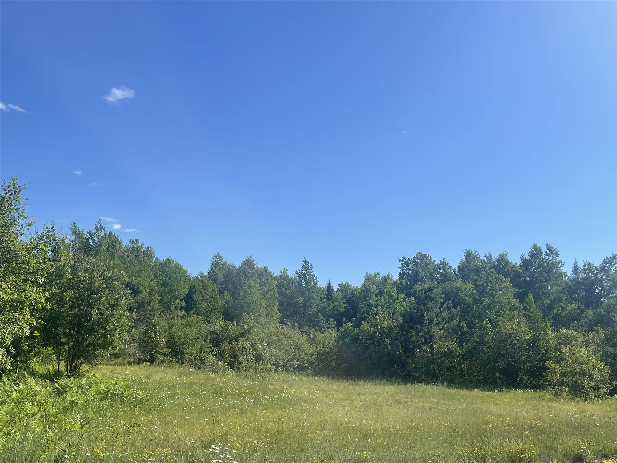 39+/- A On County Highway E Iron Belt WI 54536 1602959 image9