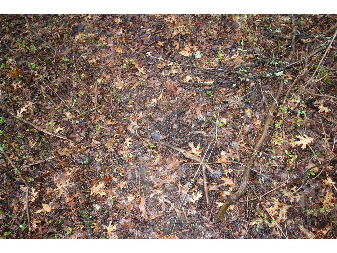 3917 North Shore Drive Eau Claire WI 54703 1572344 image10