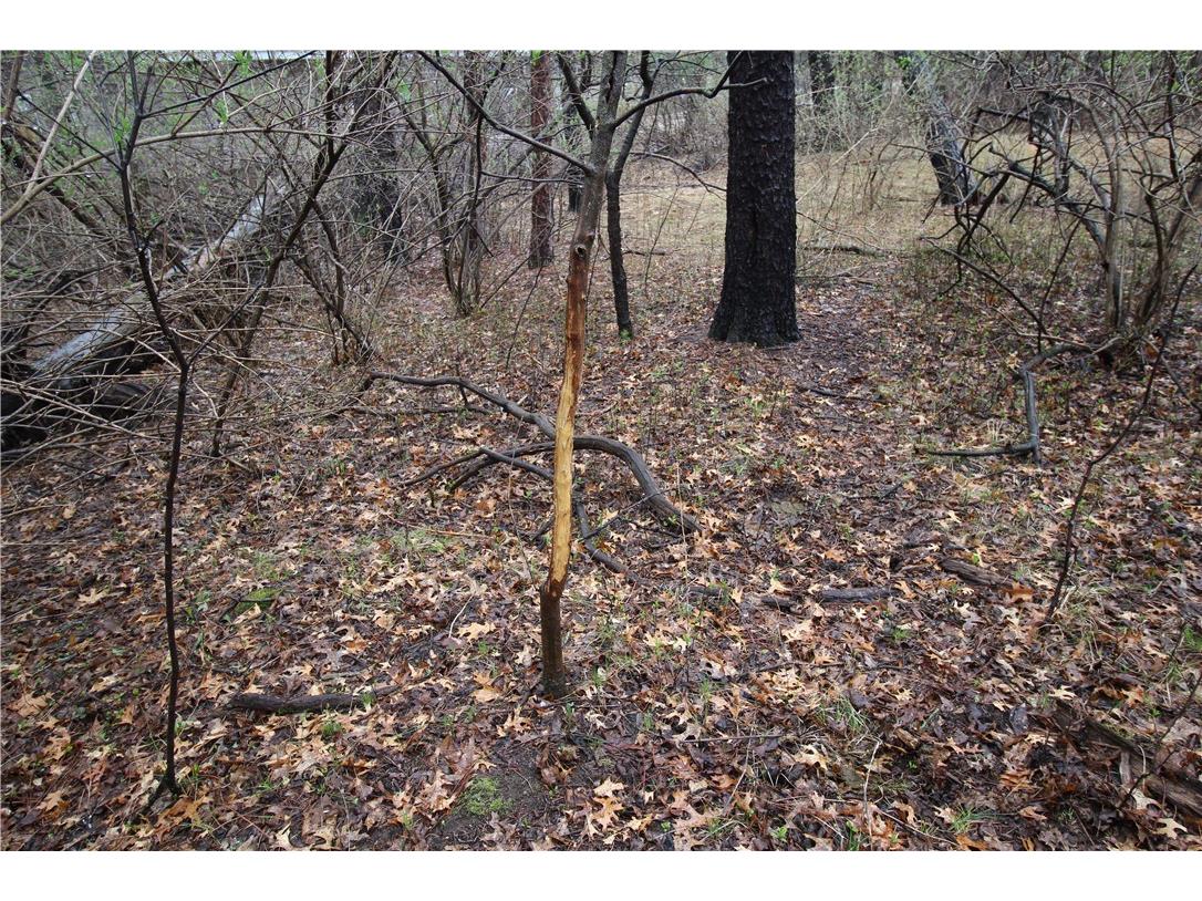 3917 North Shore Drive Eau Claire WI 54703 1572344 image11