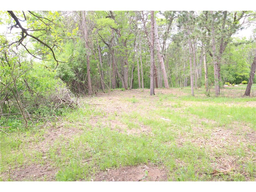 3917 North Shore Drive Eau Claire WI 54703 1572344 image18