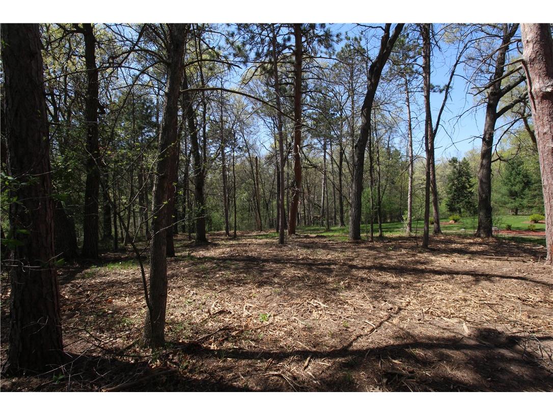 3917 North Shore Drive Eau Claire WI 54703 1572344 image5