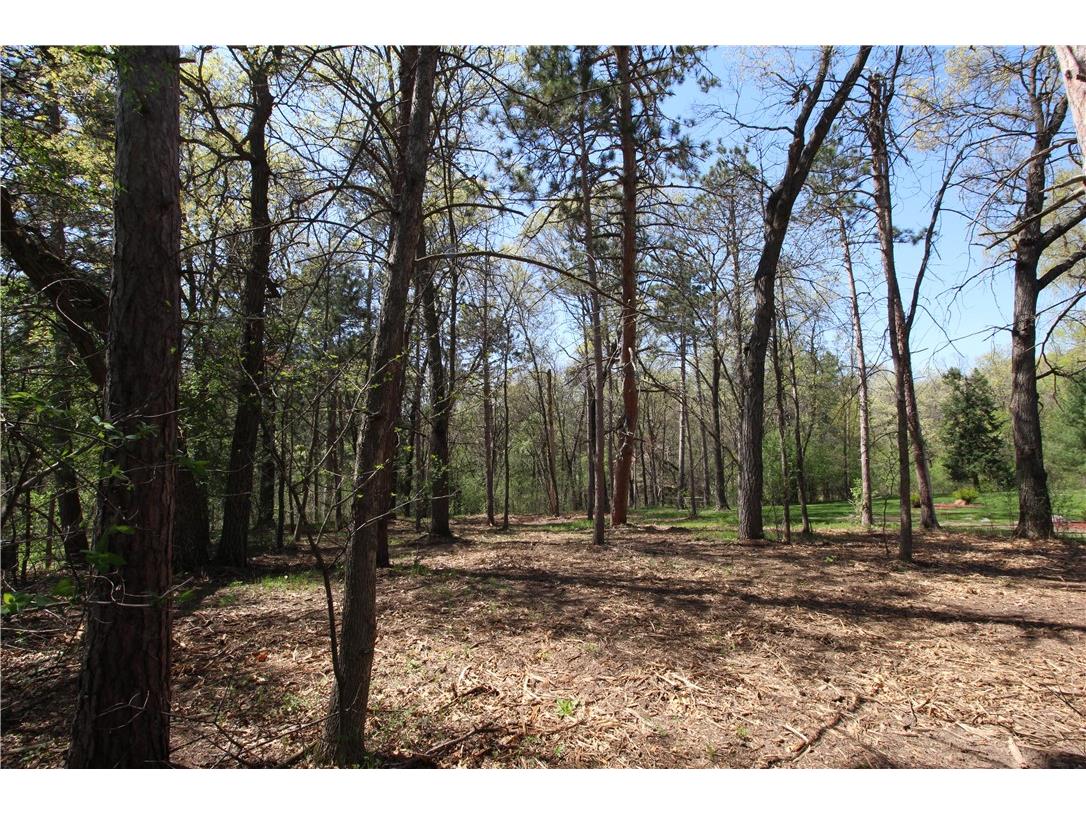 3917 North Shore Drive Eau Claire WI 54703 1572344 image6