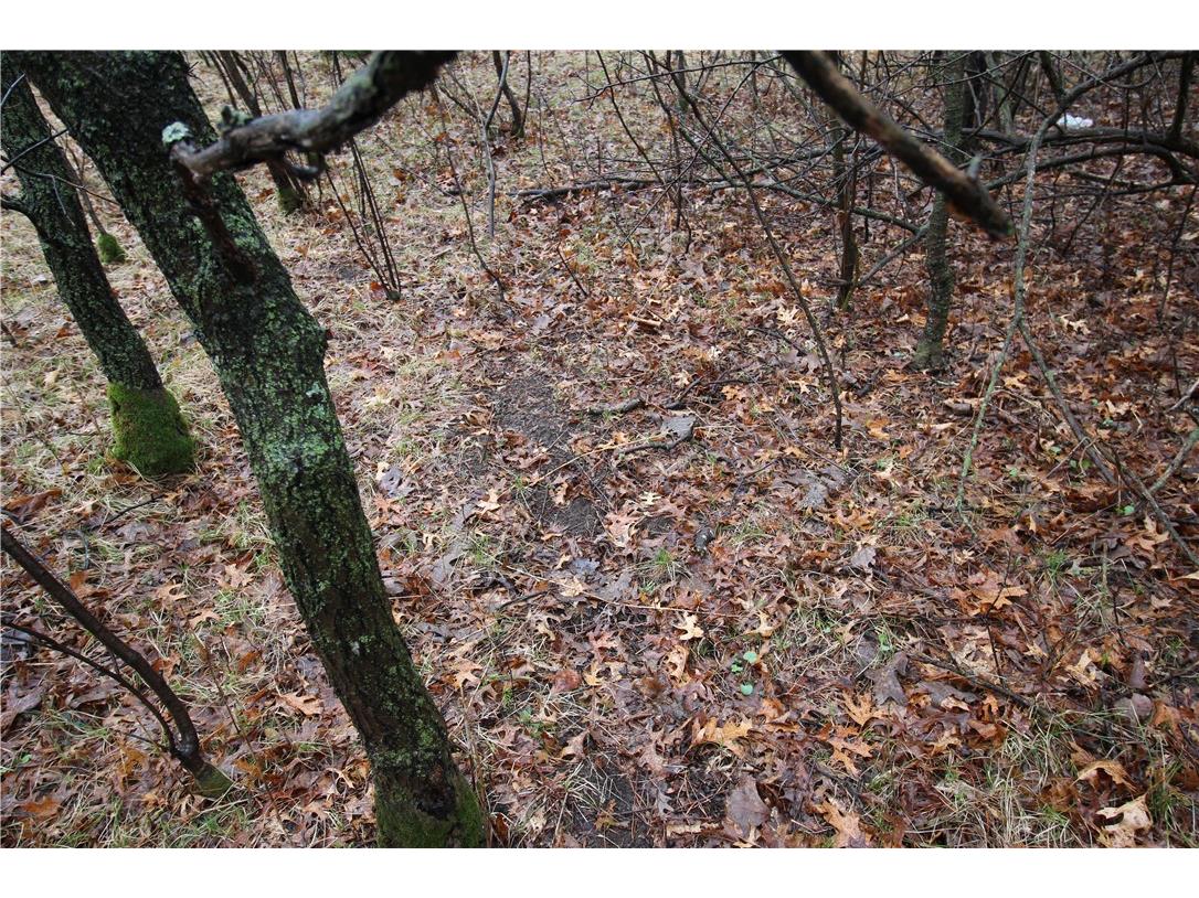 3917 North Shore Drive Eau Claire WI 54703 1572344 image9