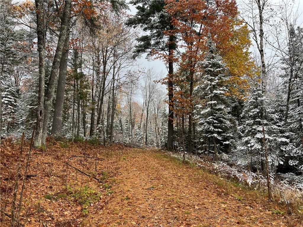 3936W North Clover Road, Loretta, WI, 54896 MLS 1569442 Edina Realty