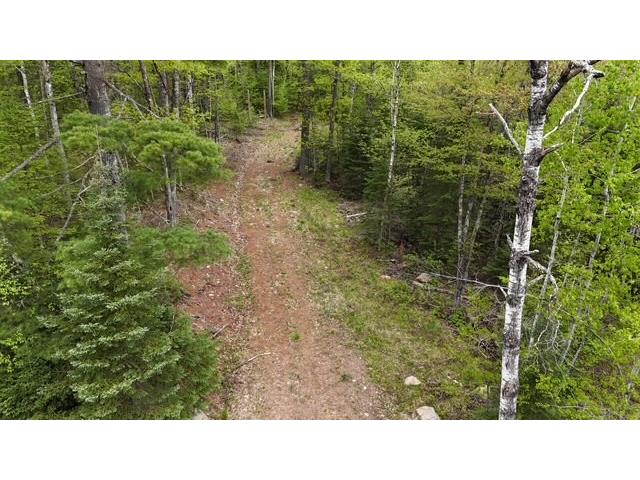 3936W North Clover Road Loretta WI 54896 1588863 image1