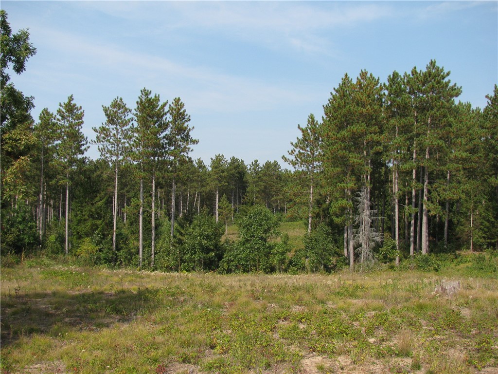 396 Bush Road Melrose WI 54642 1593444 image1