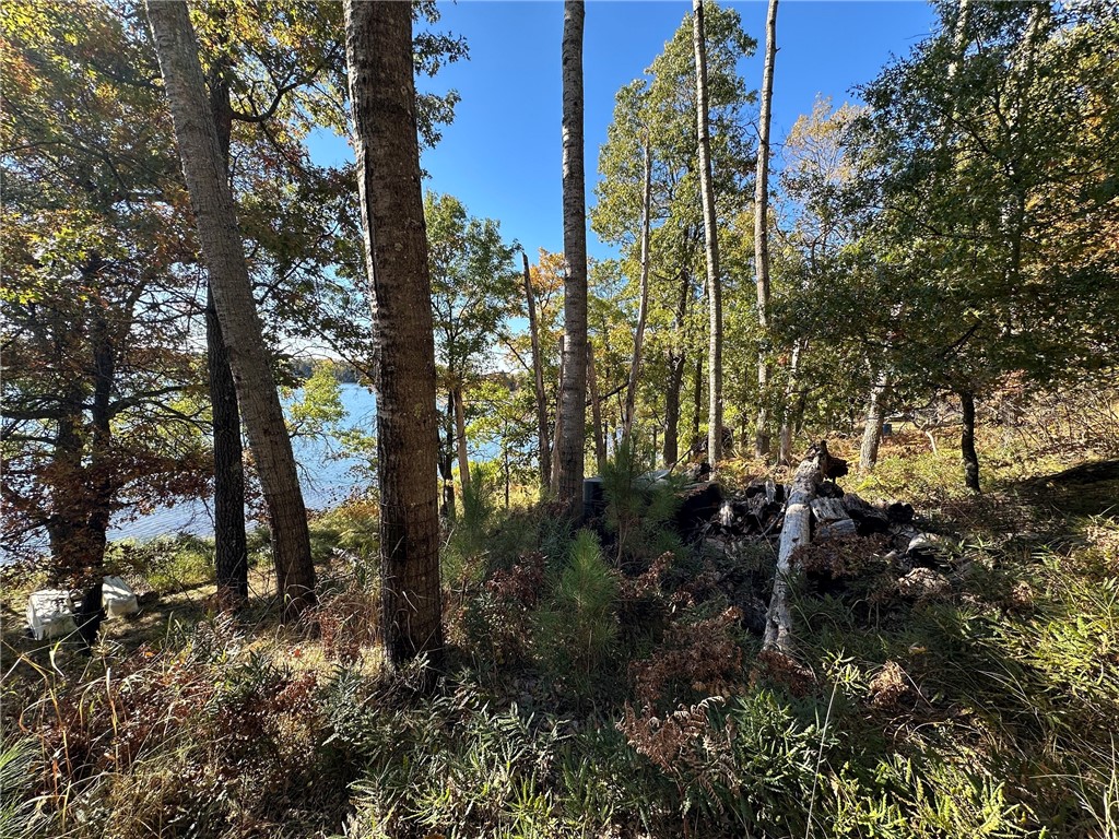 3983 E Robinson Lake Road Barnes WI 54873 - Robinson 1590771 image13