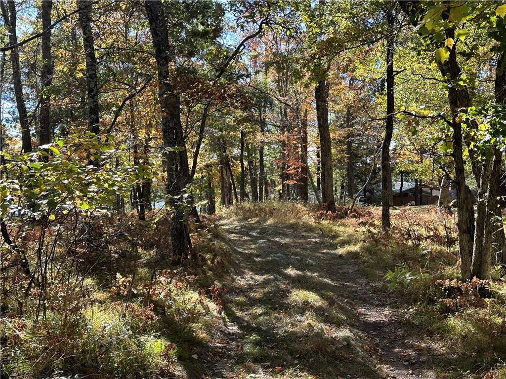 3983 E Robinson Lake Road Barnes WI 54873 - Robinson 1590771 image16