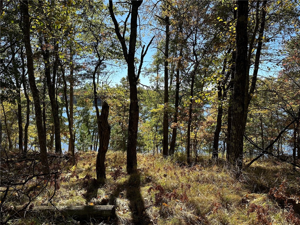 3983 E Robinson Lake Road Barnes WI 54873 - Robinson 1590771 image19