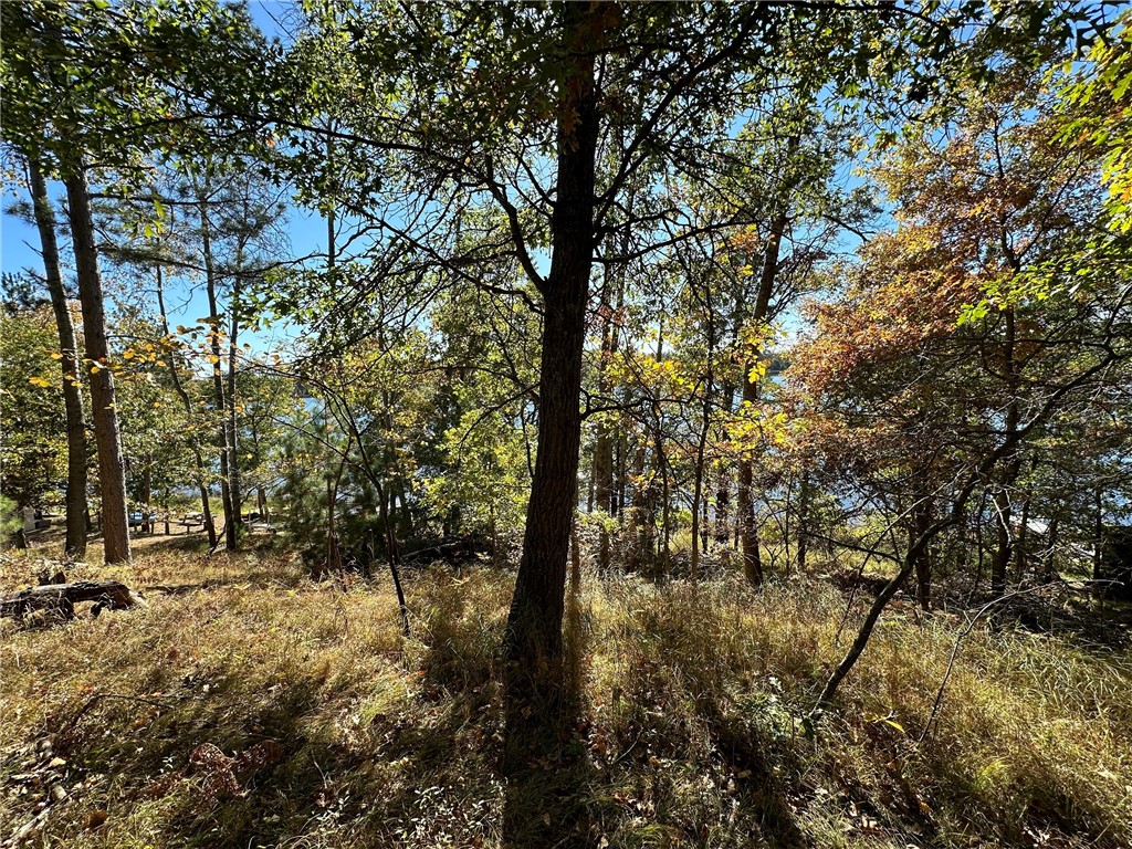 3983 E Robinson Lake Road Barnes WI 54873 - Robinson 1590771 image20