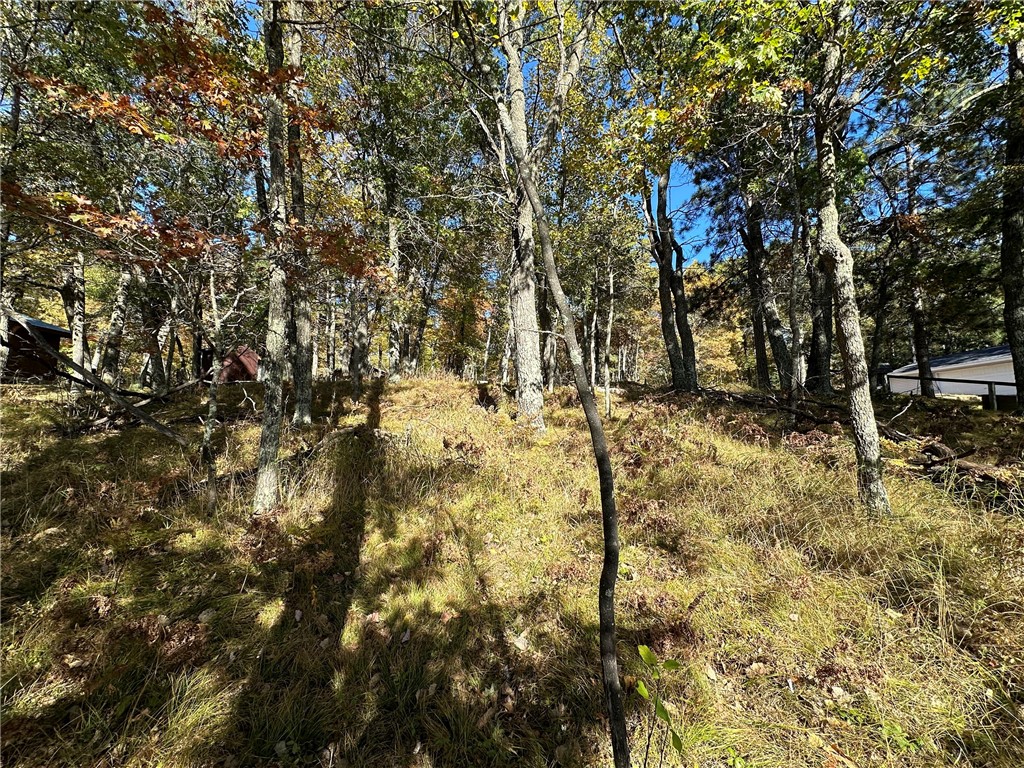 3983 E Robinson Lake Road Barnes WI 54873 - Robinson 1590771 image21